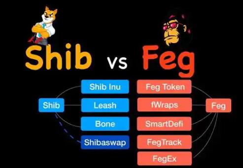 FEGʲôңFEGҵĵ;ֵδչ