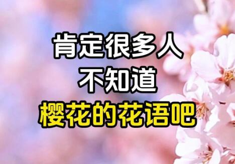ӣĻʲôӣƷֲһԢҲͬ