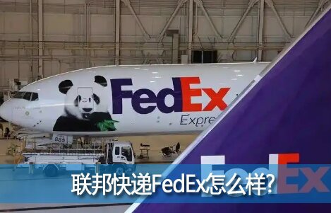 FedExô?FedExշô?