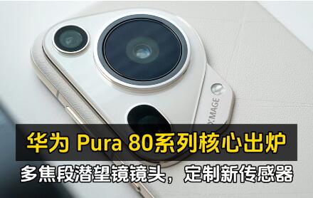 ԭPϵ콢ΪPura 809020