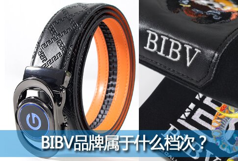 BIBVʲô?BIBVƷʲôΣ