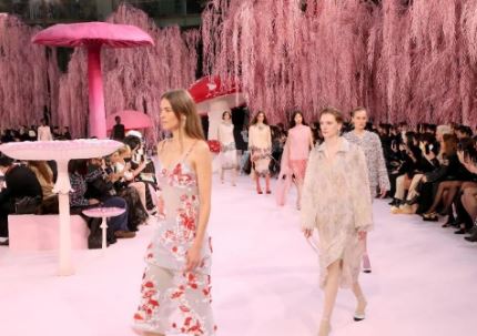 ��������ϵ��Խ��ͯ��ɭ�֣����ζ�Ҫ���𻯡����ɣ�